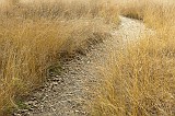 20111105_0011 2